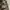 Korean Army ACU Ripstop Jacket photo 3