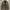 Korean Army ACU Ripstop Jacket photo 1