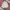 Hunter Coat Jacket Corduroy Collar photo 1