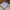 New Balance Sportswear Casual Sneakers Wanita white photo 3