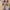 Flatshoes Anak photo 1