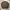 Luxury Casual Sweater Pria brown photo 5