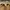 Nike Air Jordan 1 Low university Gold / Yellow white photo 6