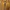 Nike Air Jordan 1 Low university Gold / Yellow white photo 3