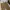 EDWIN Vintage Casual Casual pants Pria tan photo 4