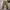 EDWIN Vintage Casual Casual pants Pria tan photo 3