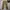 EDWIN Vintage Casual Casual pants Pria tan photo 2