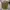 EDWIN Vintage Casual Casual pants Pria tan photo 1