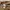 EDWIN Vintage Casual Casual pants Pria tan photo 8