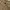 EDWIN Vintage Casual Casual pants Pria tan photo 7