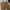EDWIN Vintage Casual Casual pants Pria tan photo 5