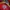 Kolping Puffer Jacket Waterrepellent  photo 9