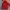 Kolping Puffer Jacket Waterrepellent  photo 4