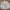 5.11 TACTICAL SERIES ARMY DESERT MILITARY M65  LONG SLEEVE W photo 1