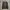 CREWNECK CAMO UNIQLO