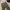 EDWIN Vintage Casual Casual pants Pria tan photo 4