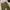 EDWIN Vintage Casual Casual pants Pria tan photo 7