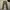 EDWIN Vintage Casual Casual pants Pria tan photo 3