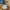 Tas dufflebag travelbag olahraga outdoor Buffalo second orig photo 1