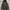 Pull&bear Warm Padded Jacket Black with fur photo 4