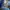 Authentic Diesel Industry Zathan Boot-Cut Jeans photo 8