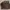 Calvin Klein Y2K Minimalist Shirt Wanita tan brown photo 1