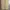 Gramicci Sportswear Casual pants Pria khaki photo 8