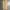 Gramicci Sportswear Casual pants Pria khaki photo 6