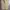 Gramicci Sportswear Casual pants Pria khaki photo 4
