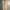 Gramicci Sportswear Casual pants Pria khaki photo 2