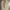 Gramicci Sportswear Casual pants Pria khaki photo 3