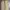 Gramicci Sportswear Casual pants Pria khaki photo 7