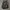 Tas bagpck ransel superdry authentic japan outdor photo 1