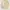 Vanguard Homme Beige Blazer Cotton Three Button Cosure photo 1