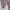 Y2k Mezzo Piano Kimono Flower Graphic photo 10