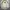  Casual Flight Outter Jacket XL photo 2