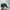 Trump President Elections Campaign Merch Baseball Hat Cap in photo 5
