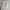 kemeja pria SIZE XXL RL broken white bukan putih photo 7