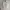 kemeja pria SIZE XXL RL broken white bukan putih photo 2