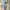 BCBG MAXAZRIA ruffle off shoulder Sabrina crop top blouse photo 3