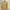 Cardigan Wanita Kuning photo 2