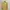 Cardigan Wanita Kuning