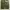 Gu Super Wide Cargo photo 5
