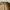 Vintage 70s US Army Officer Shirt photo 3