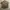 Vintage 70s US Army Officer Shirt photo 5