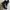 Dr. Martens 2976  photo 2