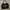 FILA Intimo black hand bag photo 1