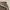 Bobson Carpenter Double Knee Pant photo 8