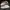 Nike Sportswear Casual Sneakers Pria multicolor khaki photo 1