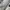 Fucking awesome snopy siluet graphic  photo 7